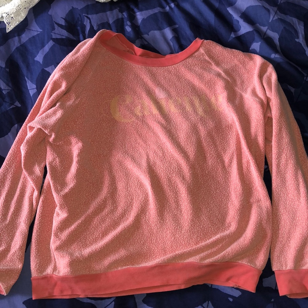 Wild fox sweatshirt